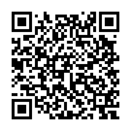 QR code for QLG011