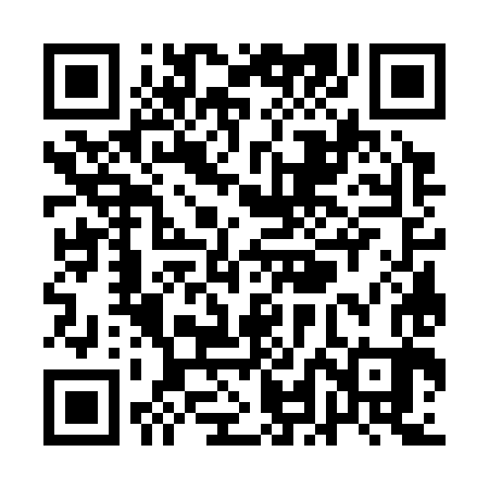 QR code for QLG383