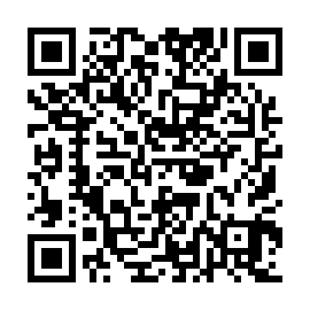 QR code for QLI101