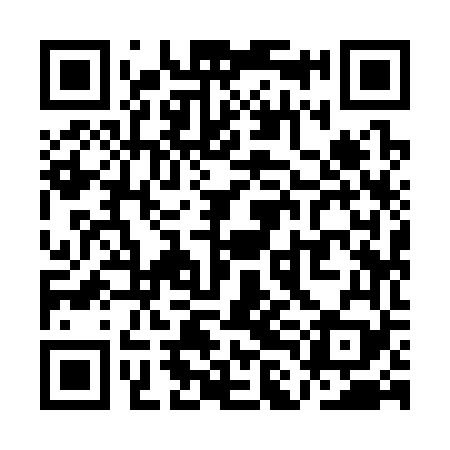 QR code for QLI369