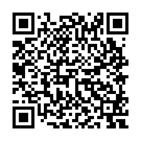 QR code for QLI380