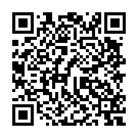 QR code for QLI413