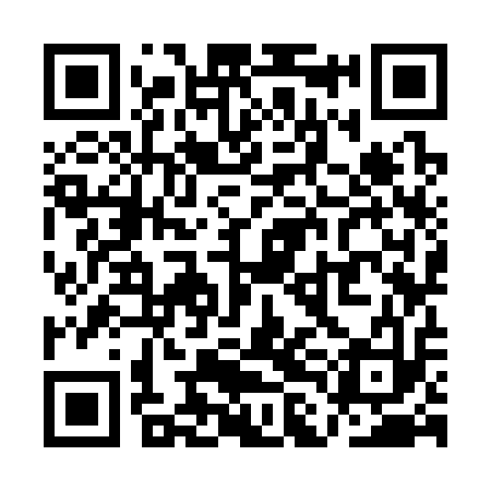 QR code for QLK313