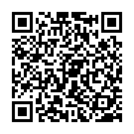 QR code for QLM389