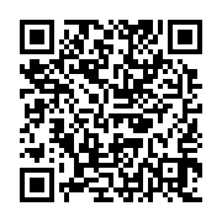QR code for QLN313
