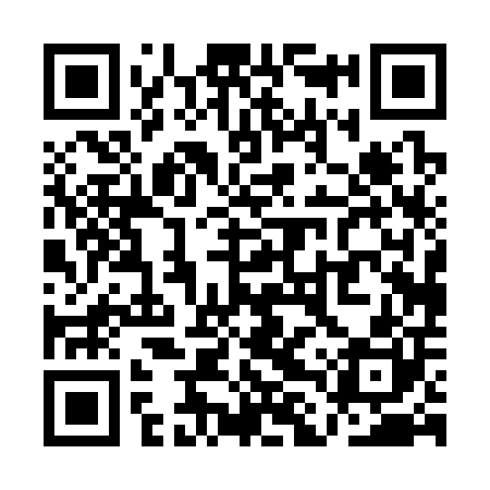 QR code for QLP300