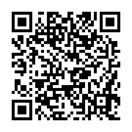 QR code for QLP376