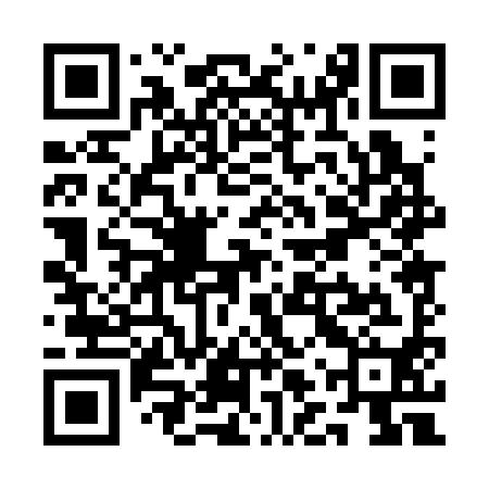 QR code for QLP390