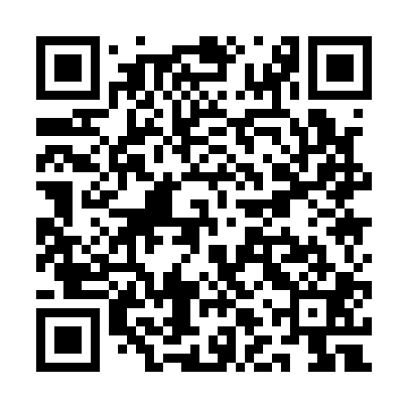 QR code for QLQ101