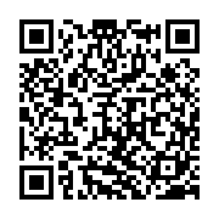 QR code for QLQ161