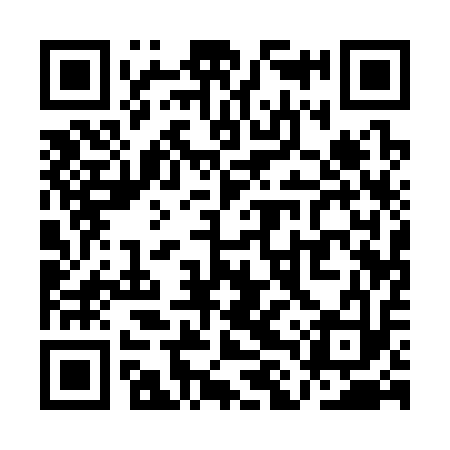 QR code for QLQ313