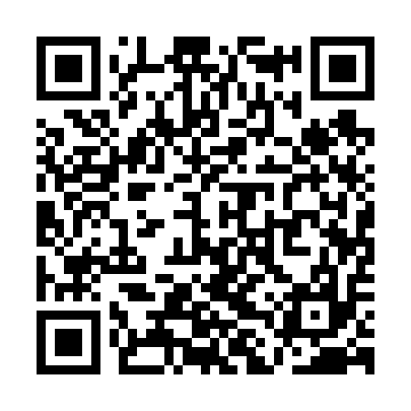 QR code for QLQ617