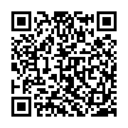 QR code for QLR533