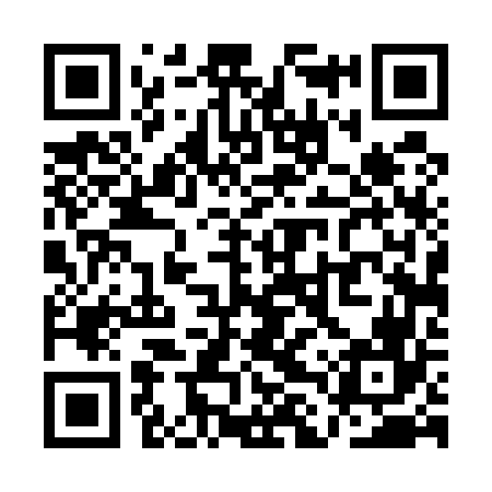 QR code for QLT566