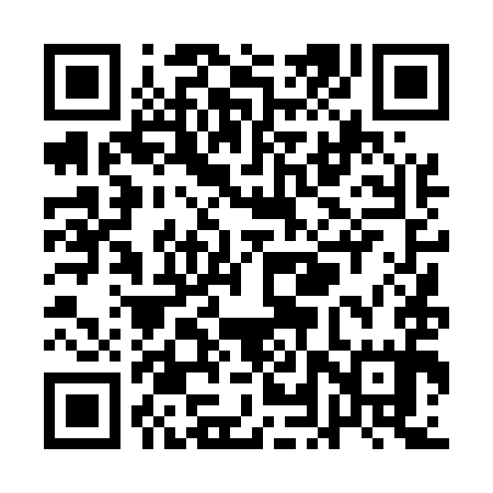 QR code for QLT595