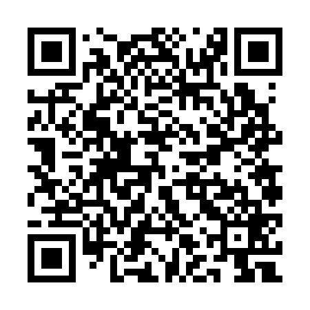 QR code for QLV369