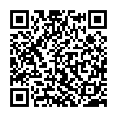 QR code for QLX171