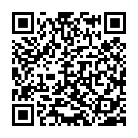 QR code for QLX438