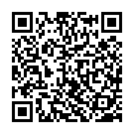 QR code for QLX509