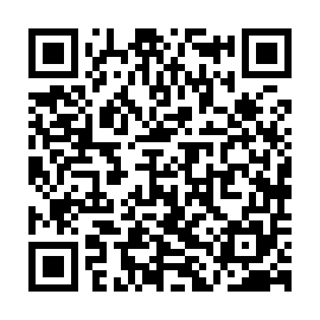 QR code for QLX955