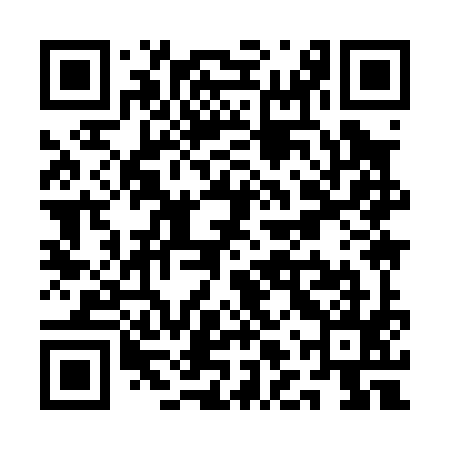 QR code for QLY095