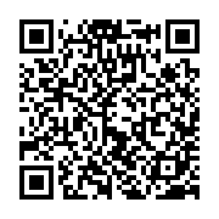 QR code for QMF381
