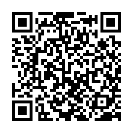 QR code for QMI389