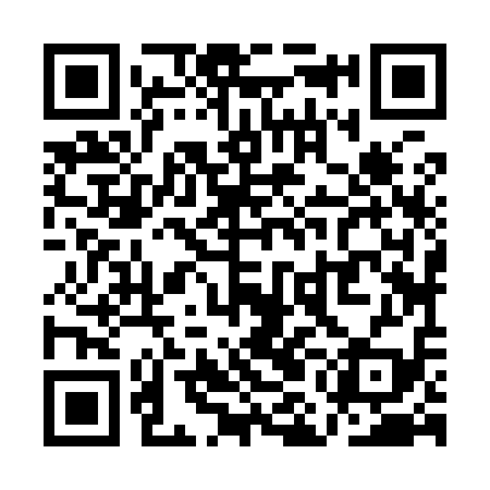 QR code for QMJ919