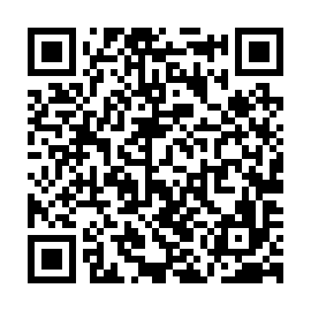 QR code for QML296