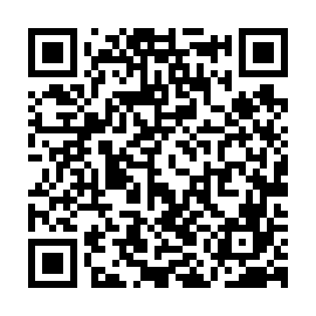 QR code for QML666