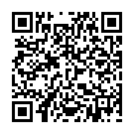 QR code for QMT385