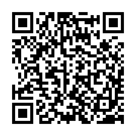 QR code for QNB993