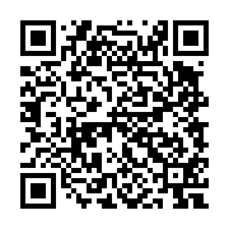 QR code for QND411