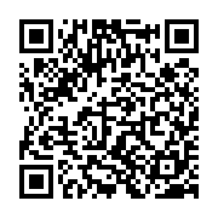 QR code for QNG595