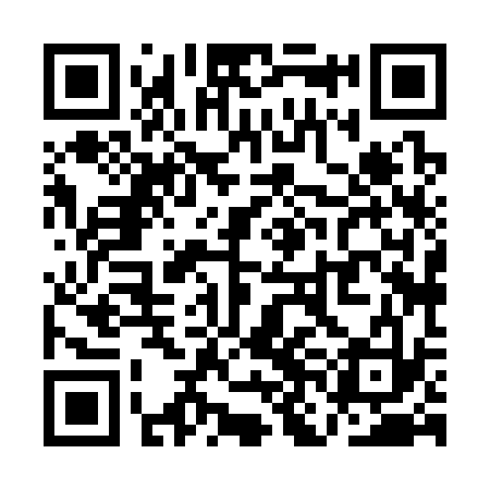 QR code for QNH333