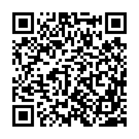QR code for QNH666