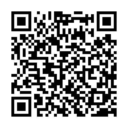 QR code for QNH668