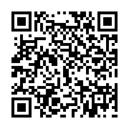 QR code for QNH993