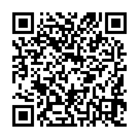 QR code for QNI993