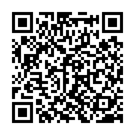 QR code for QNM729