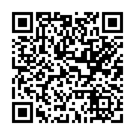 QR code for QNR393