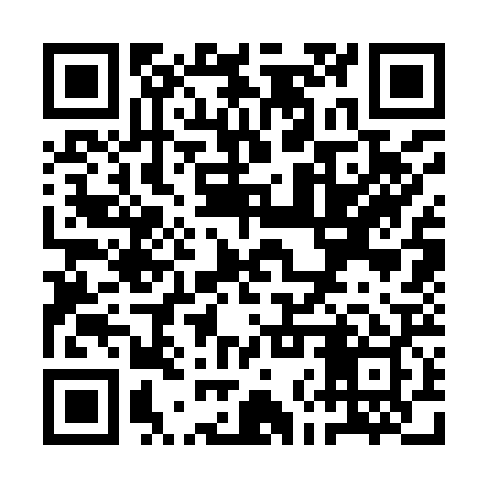 QR code for QNS929
