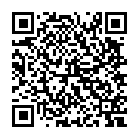 QR code for QNZ411