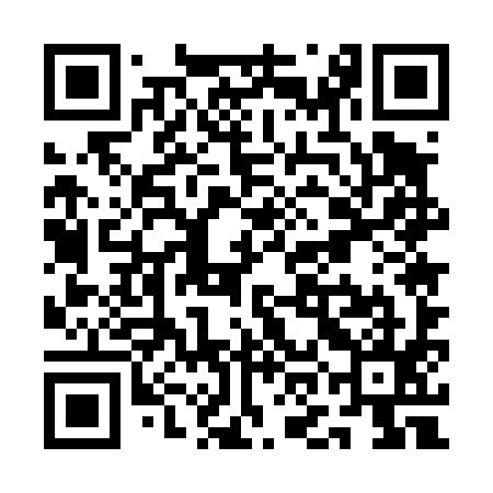 QR code for QOE495