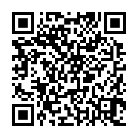 QR code for QOJ380