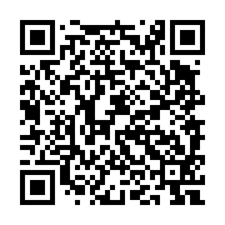 QR code for QON493