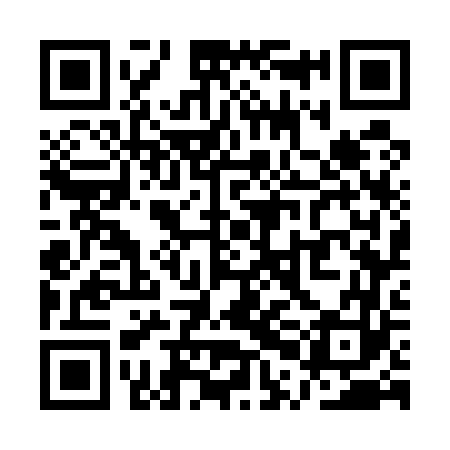 QR code for QPG563