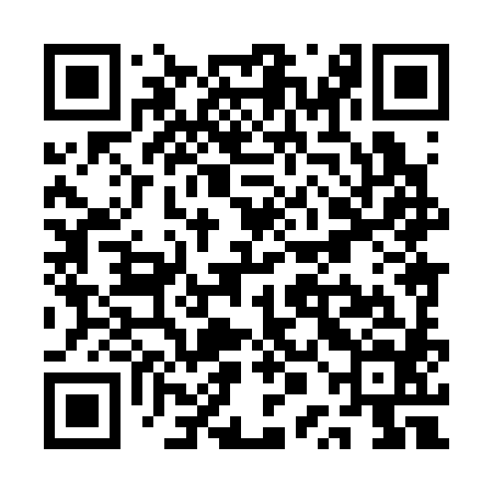 QR code for QPH384