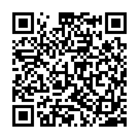 QR code for QPI333