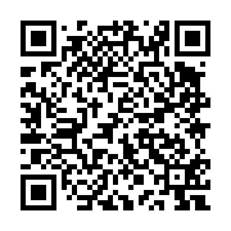 QR code for QPI411